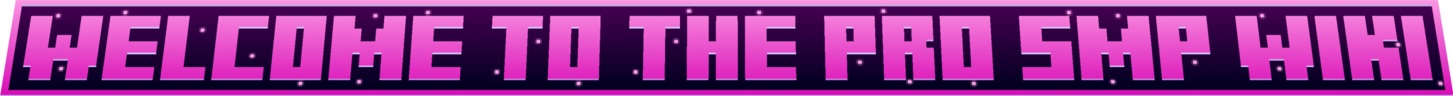 Welcome to the wiki of the Pro SMP Network!